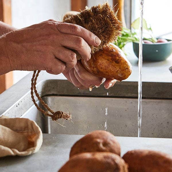 Ethical Global - Wholesale Cleaning Brush - Tiger Veggie Brush - All Natural Handmade1