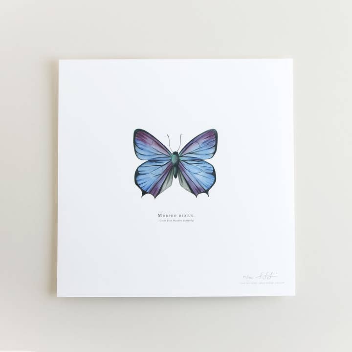 Together Apart - Vente Affiche d'art - Papillon Morpho bleu géant