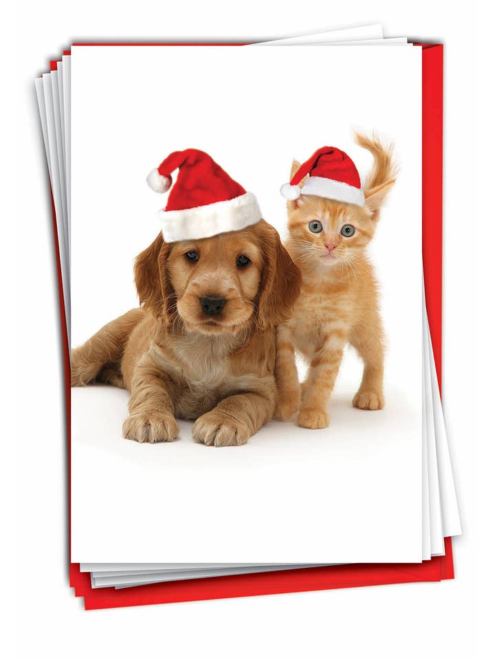 Låda med 12 julkort - Copy Cats för wholesale av NobleWorks