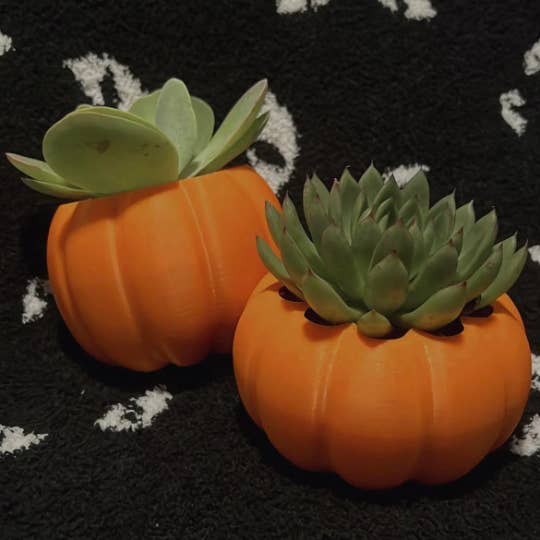 Fall Pumpkin Planter | More Colors Available for wholesale by Peachy Pilea