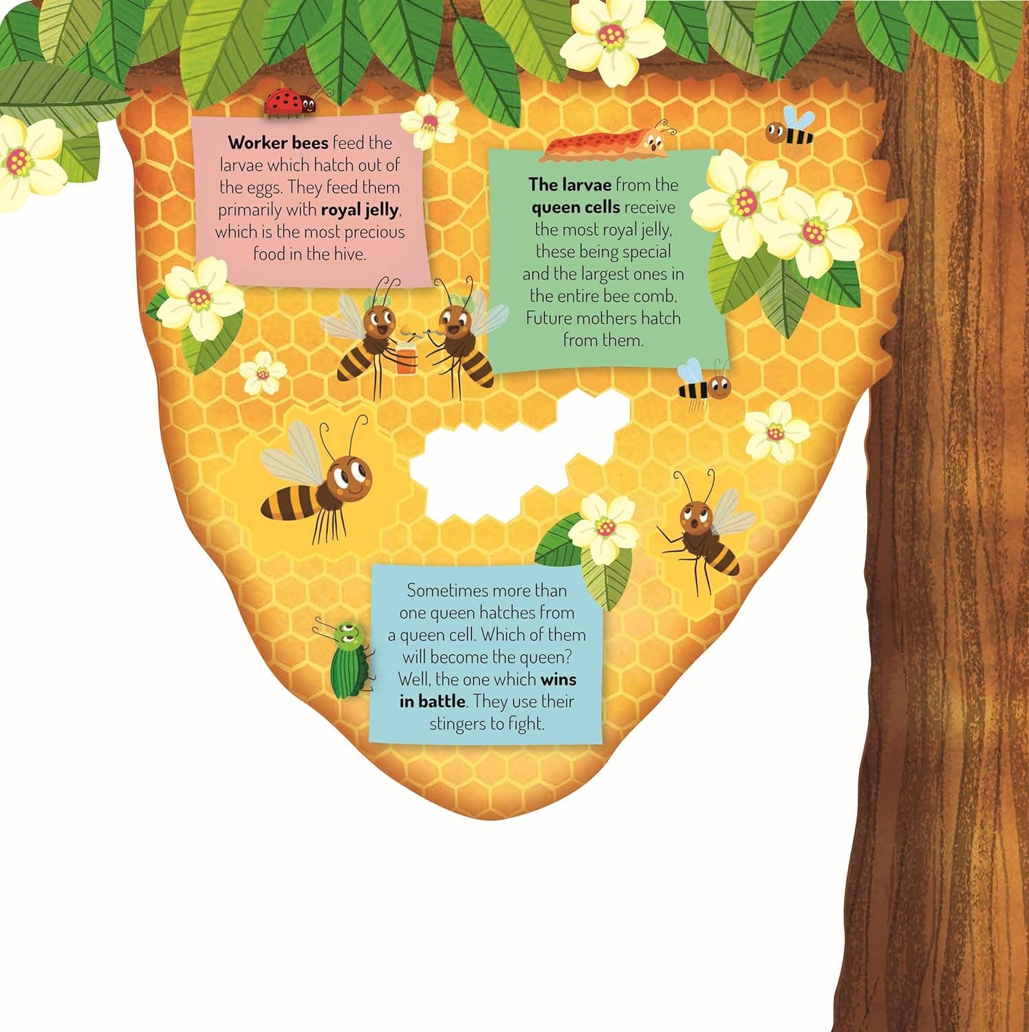 Fox Chapel Publishing - Wholesale Preschool Book (3-5) - Discovering the Busy World of the Beehive-Kid's Picture Book1