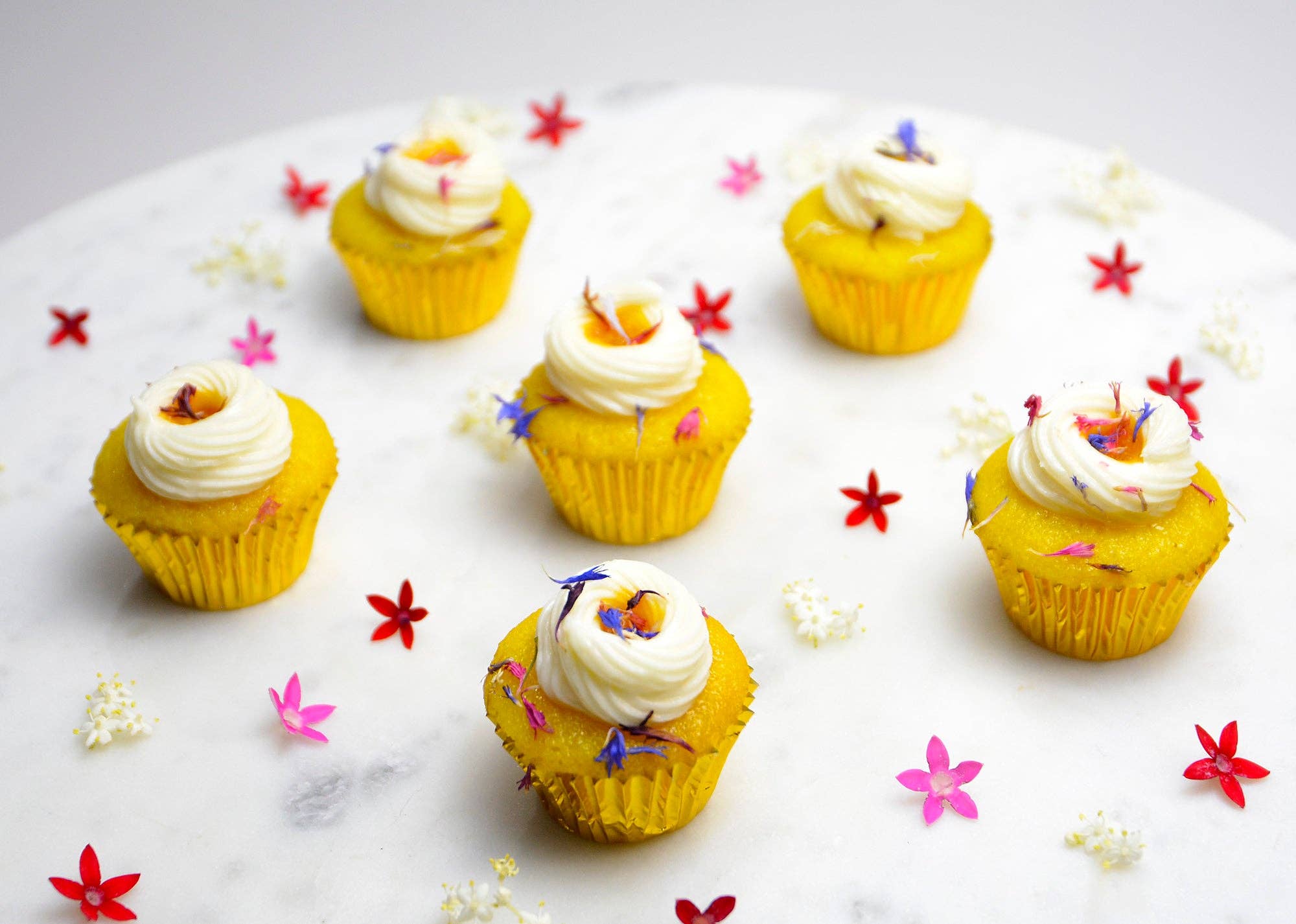 Aloha Bites - Wholesale Cupcake - Cupcakes - Signature Hawaiian Mini 9