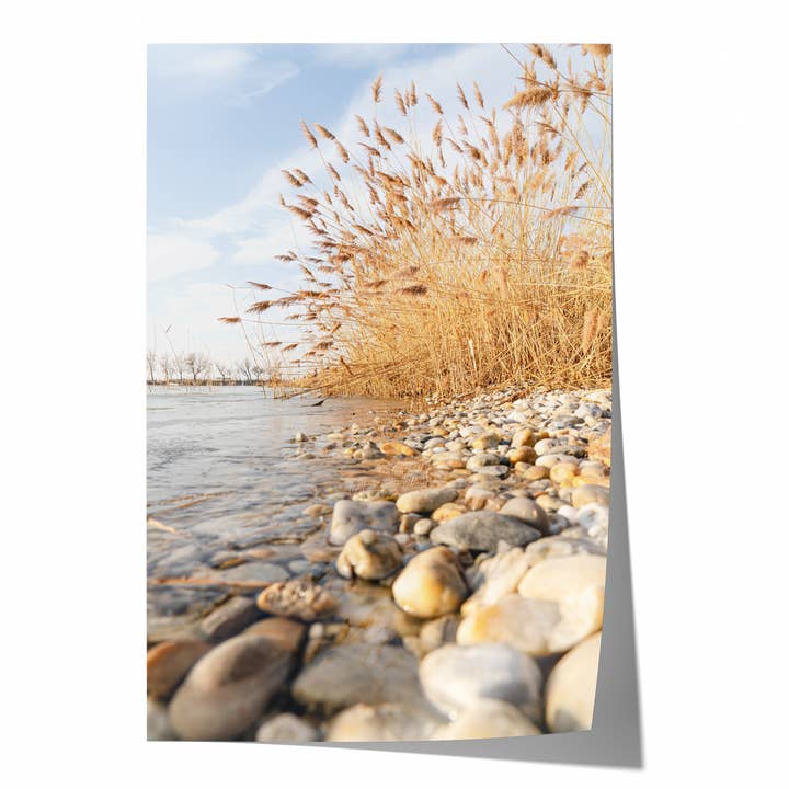 Calm Lake Shoreline | Stampa fotografica d'arte per la vendita all'ingrosso da parte di Natasha Riha Photography