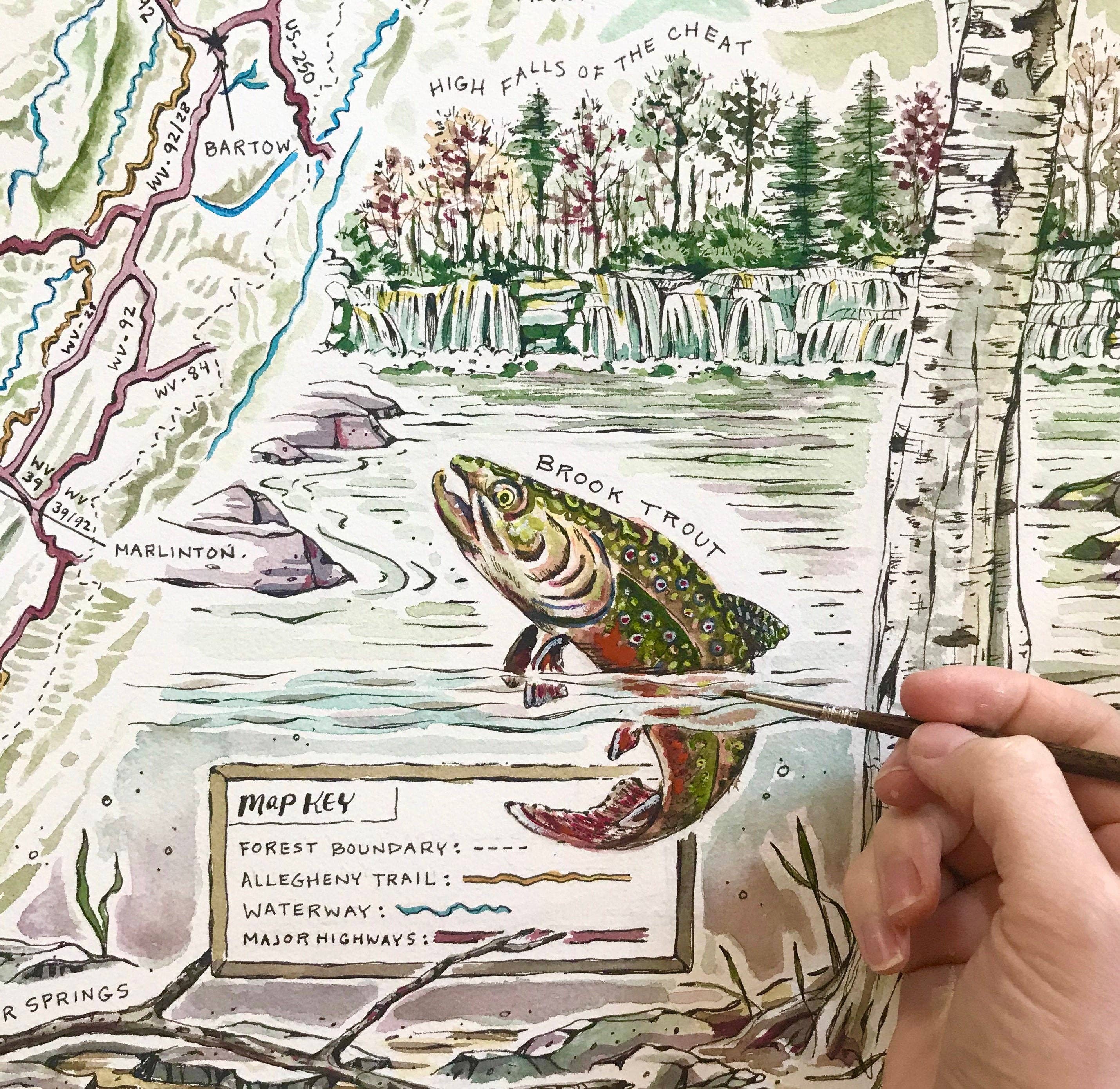 Rosalie Haizlett Illustration - Wholesale Sticker - Brook Trout Waterproof Sticker2