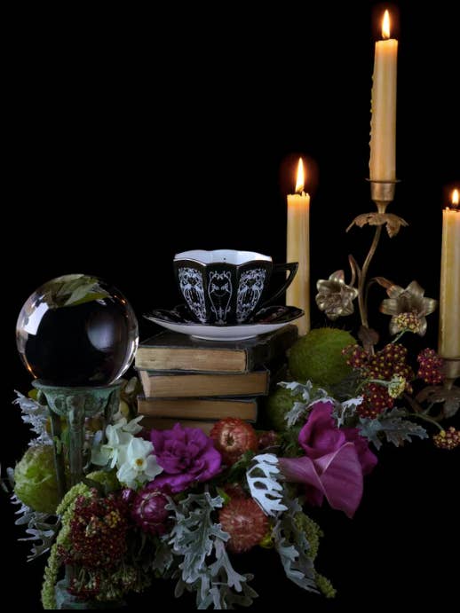 Belle de Nuit teacup and saucer for wholesale by misshavishamscuriosities