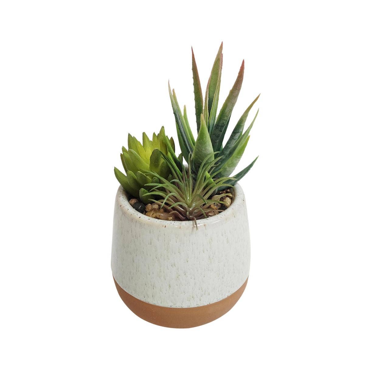 Truu Design - Wholesale Succulent - Truu Design Artificial Succulent in 3.75"D Ceramic Pot