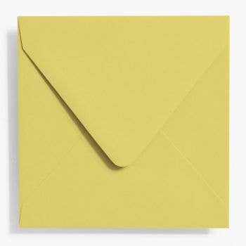 Paper Source Wholesale - Wholesale Envelopes - 6.5" Square Envelopes Bulk Pack (200 pack)2