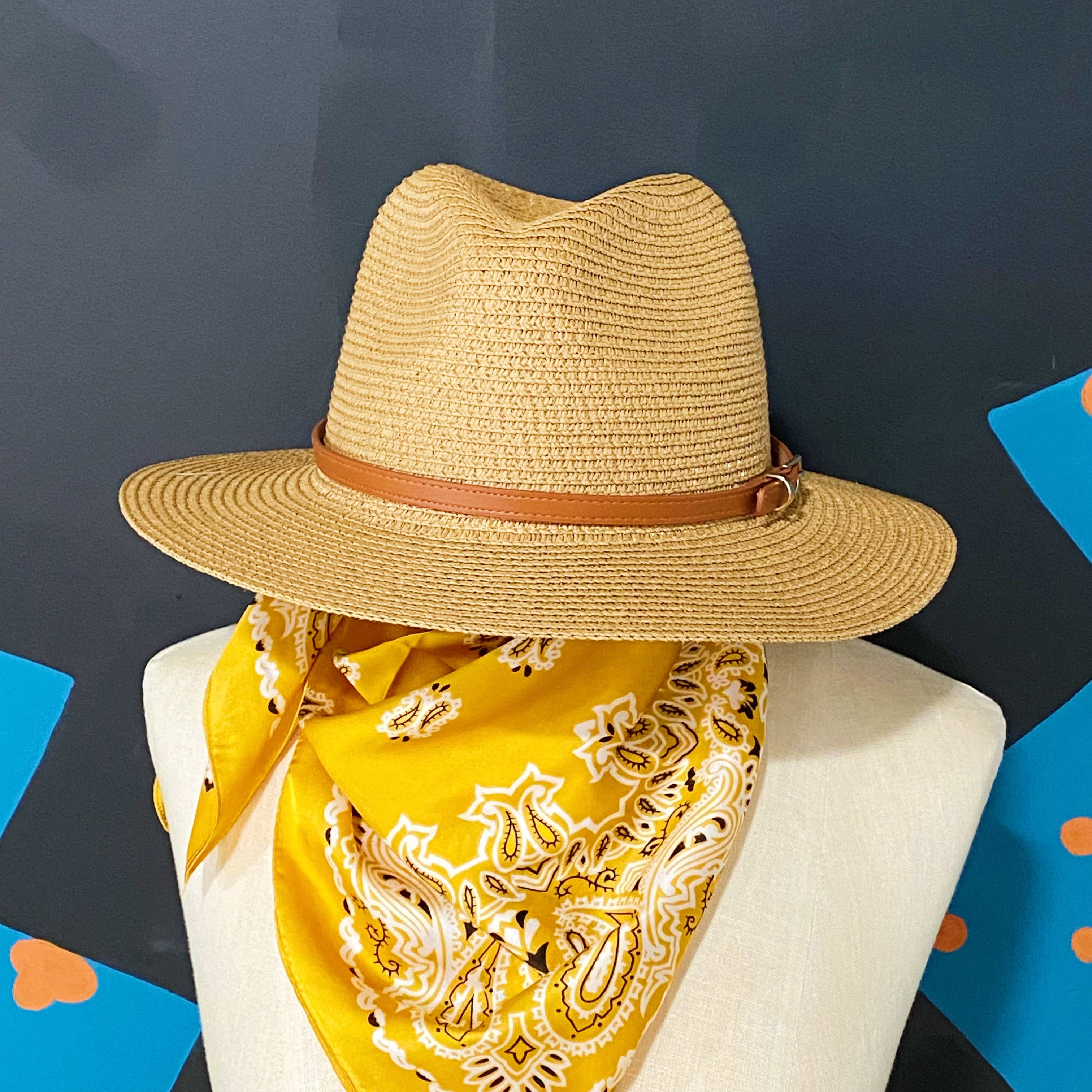 Ellison+Young - Wholesale Fedora - Women's - Belted Panama Fedora1