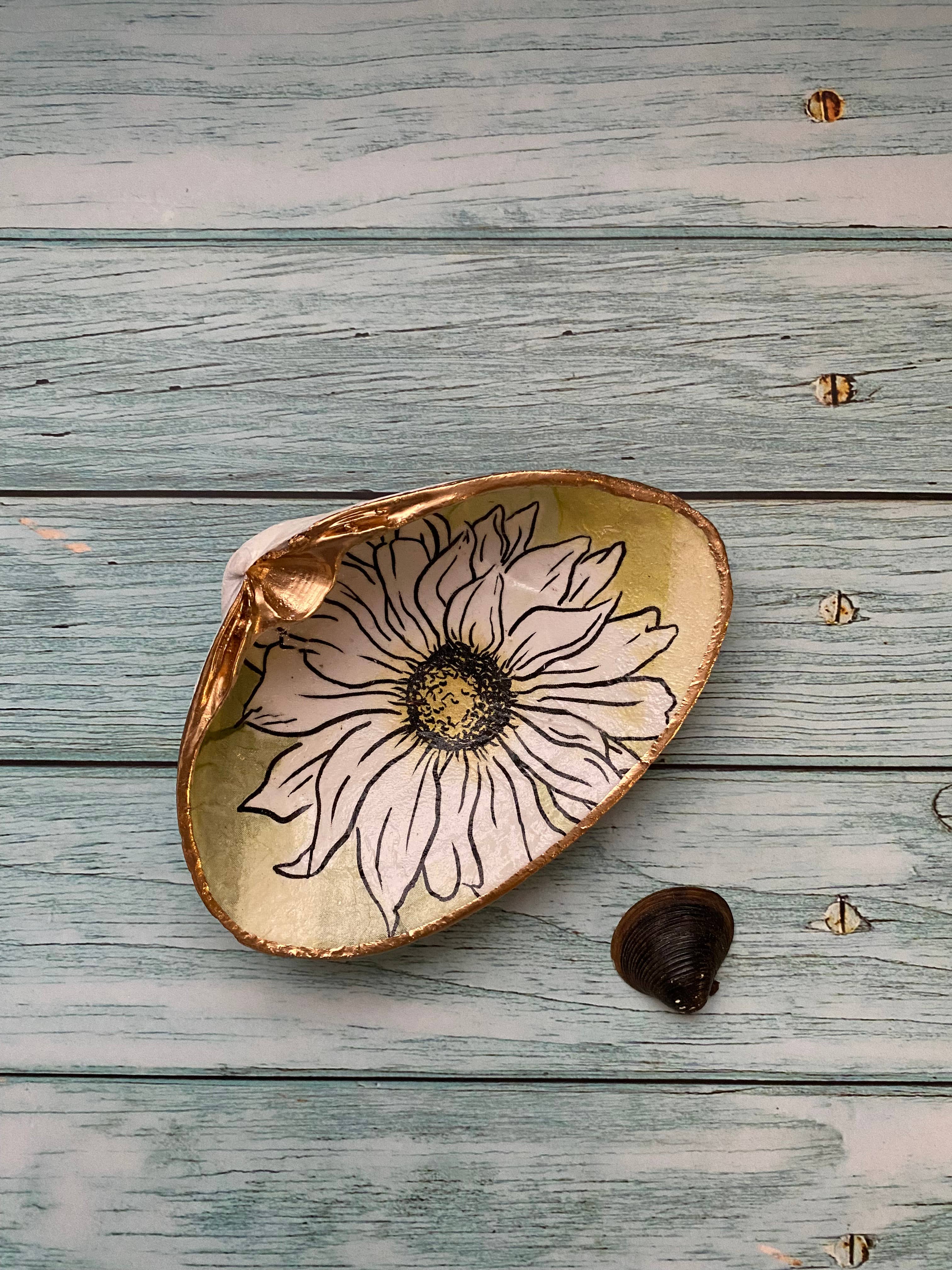 Wholesale shell dish for your store