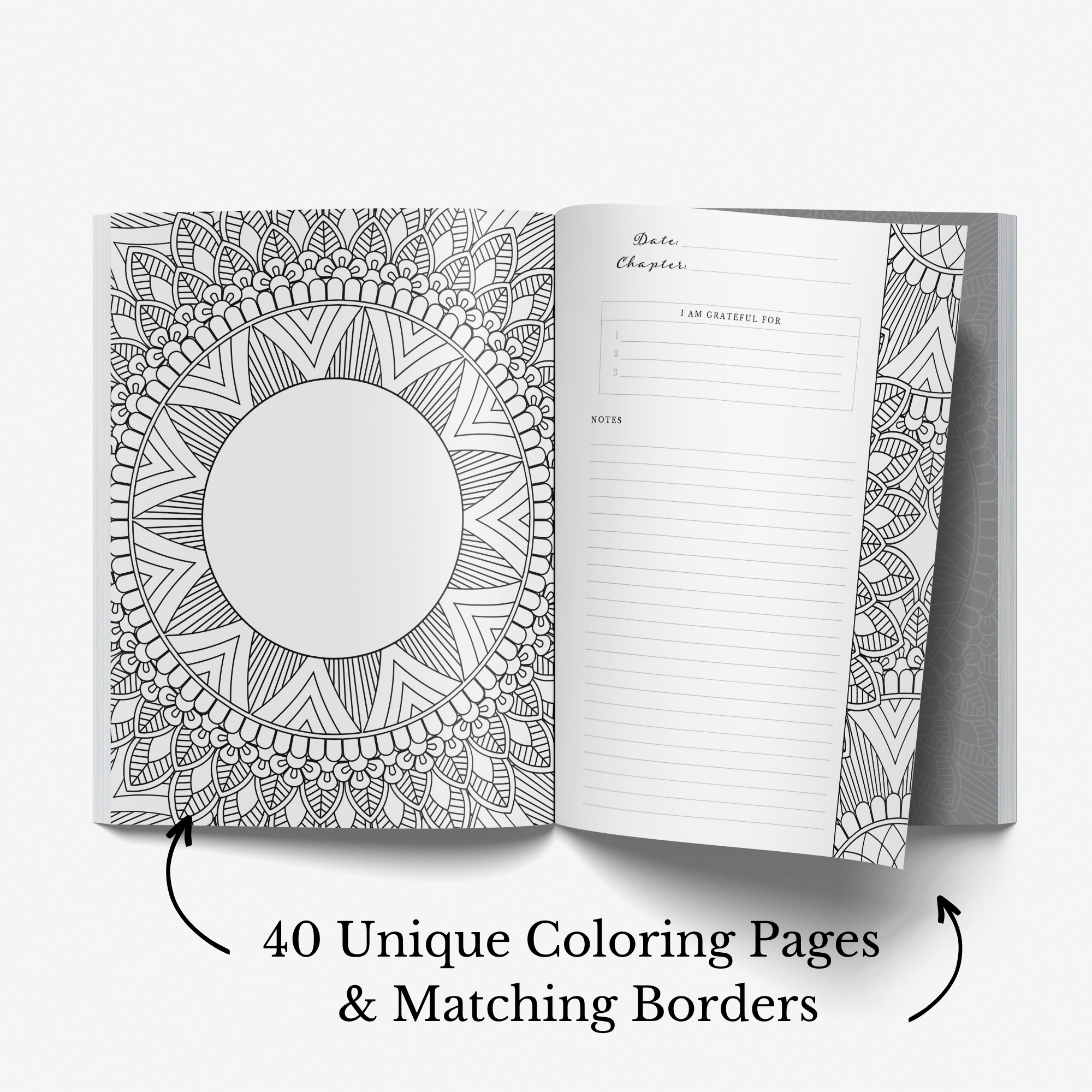 Scripture and Grace - Wholesale Journal/Diary - Chapter by Chapter Bible Study Journal and Coloring Book2