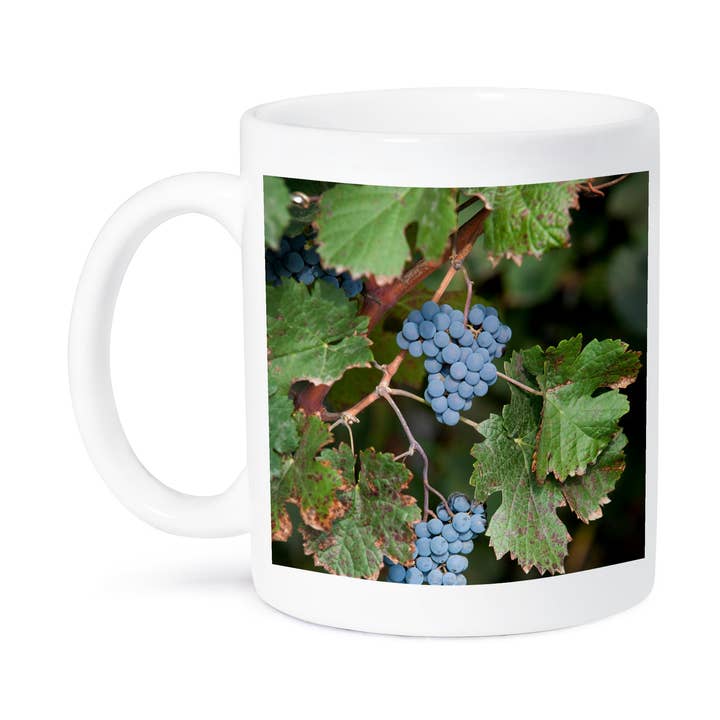 3dRose, China, Ningxia. Merlot-druiven hangen aan de wijnstok, Helan Mountain-wijngaard., Mok voor wholesale door 3dRose