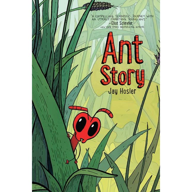 Ant Story : A Graphic Novel : Jay Hosler for wholesale by HarperCollins