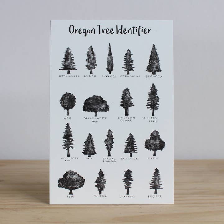 Cartoline identificative dell'albero dell'Oregon per la vendita all'ingrosso da parte di IamBibby