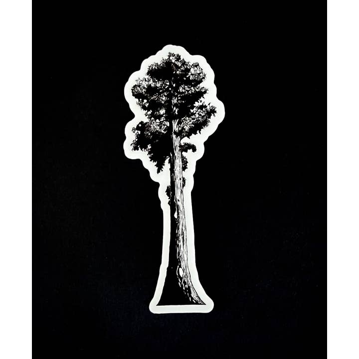 Adhesivo de vinilo impermeable Giant Sequoia Redwood Tree para venta al por mayor de Tony Rubsam Illustrations