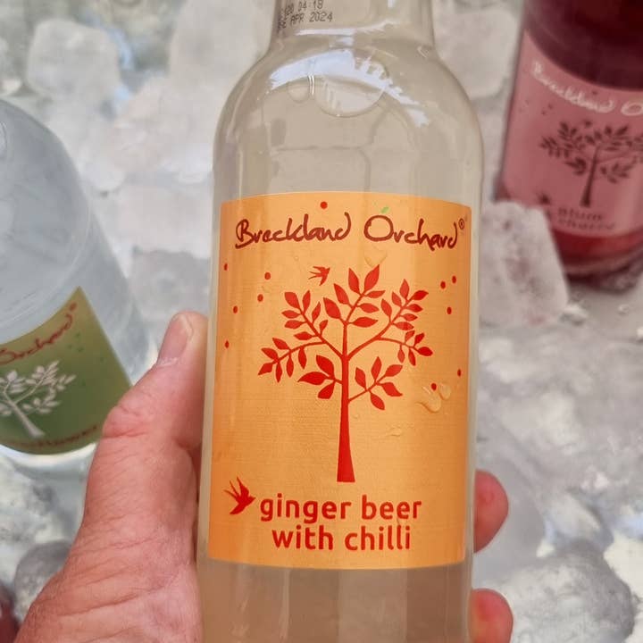 Breckland Orchard – wholesale Soda/carbonated drink – Ginger Beer with Chilli Posh Pop 12 x 275ml