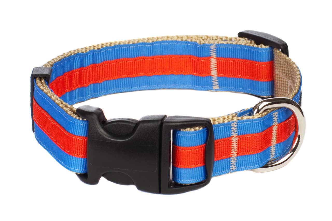 Paw Paws USA - Wholesale Pet Collar - Dog - Prep School Dog Collar11