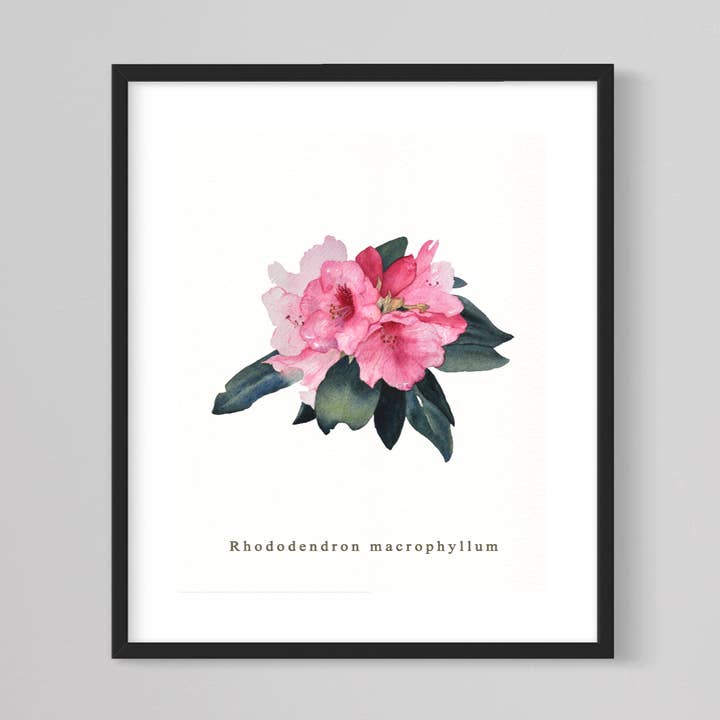 Rhododendron bloemenprint met gicléeprint, PNW-bloemen, bloemsierkunst voor wholesale door CMarie Northwest