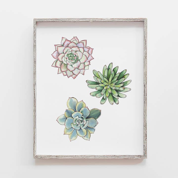 Three Succulent Art Print for wholesale by JesMarried