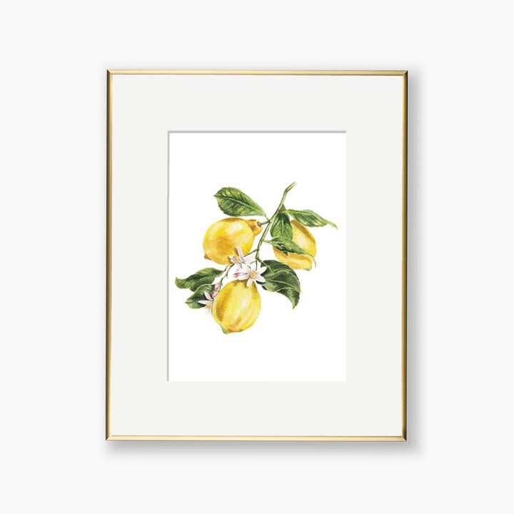 Stampa artistica ad acquerello con ramo di limoni per la vendita all'ingrosso da parte di Paper Betty