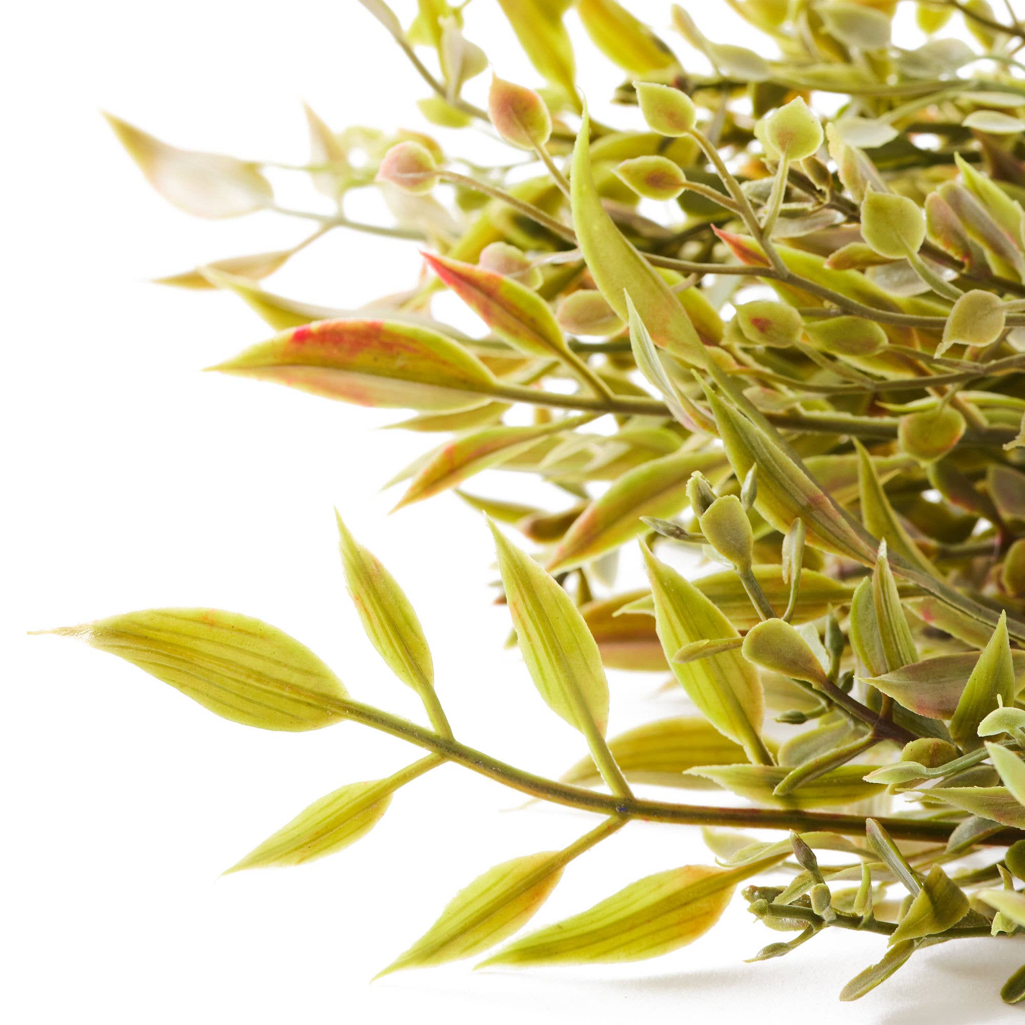 Oh You're Lovely - Wholesale Artificial Plant - Sage Artificial Greenery 15” Stem2