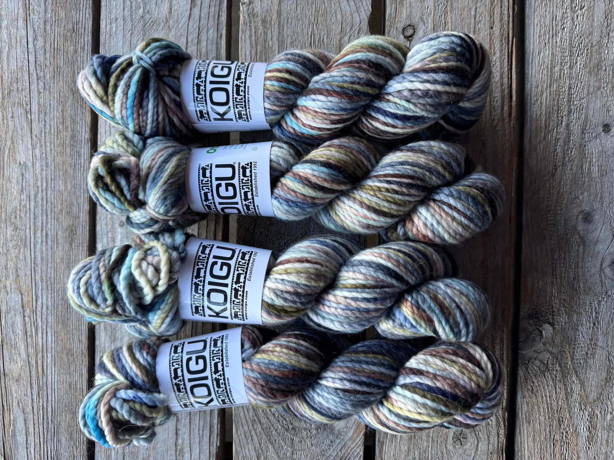 Koigu Wool Designs - Wholesale Garen - Koigu Othello (chunky merino) groep B6