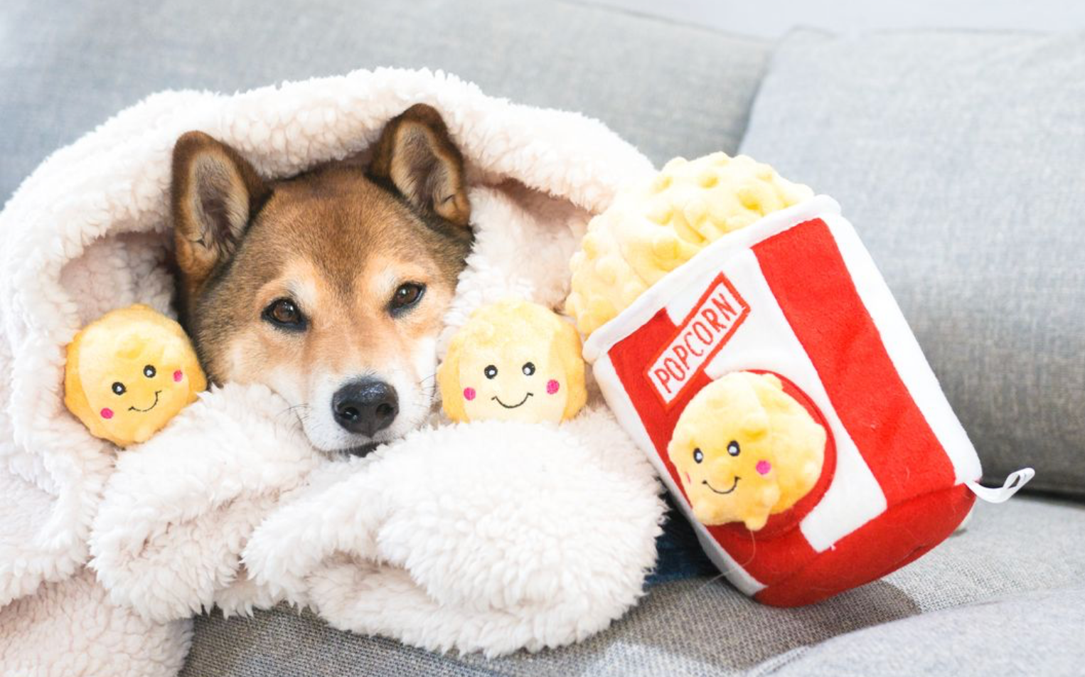 ZippyPaws – wholesale Pet plush toy – Dog – Zippy Burrow - Popcorn Bucket - Dog Toy8