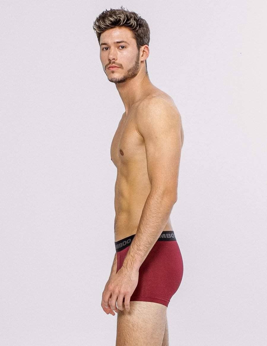 Bamboo Underwear - Wholesale Underwear - Men's - Men's Boxer 4"17