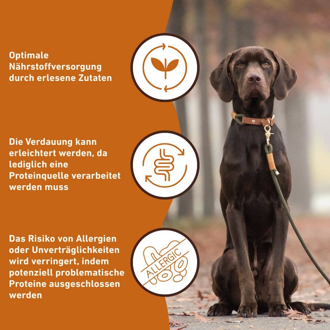 WILDFANG - Wholesale Voer - Hond - WILDFANG Pure kip natvoer - BARF-kwaliteit3