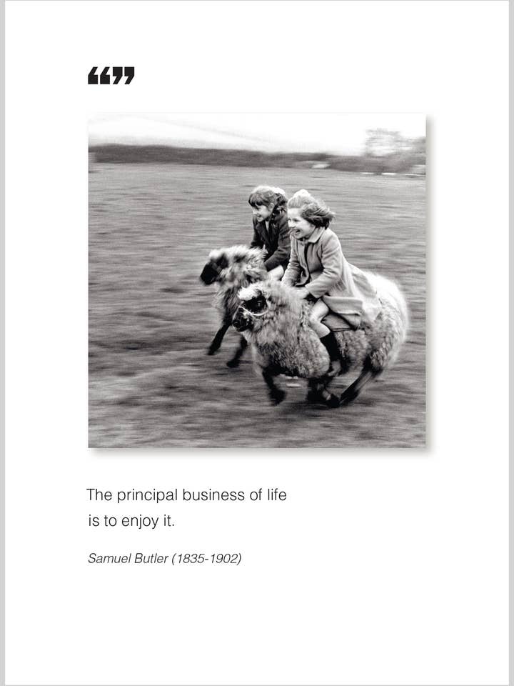 huvudsaklig verksamhet Gratulationskort för alla tillfällen/födelsedagar för wholesale av The Borealis Press Inc