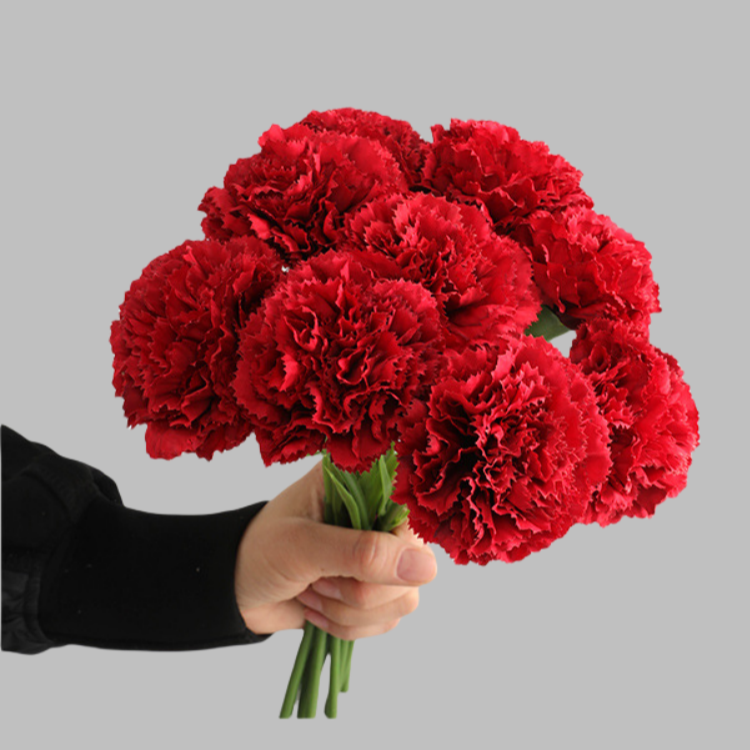 ACNITE(We cover U.S. import duties) - Vente Fleurs artificielles - Fleurs artificielles œillet rose réaliste 28 cm - Cadeau pour elle3