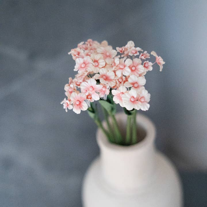 Scaévola en papier pêche pour la vente par Flowrette