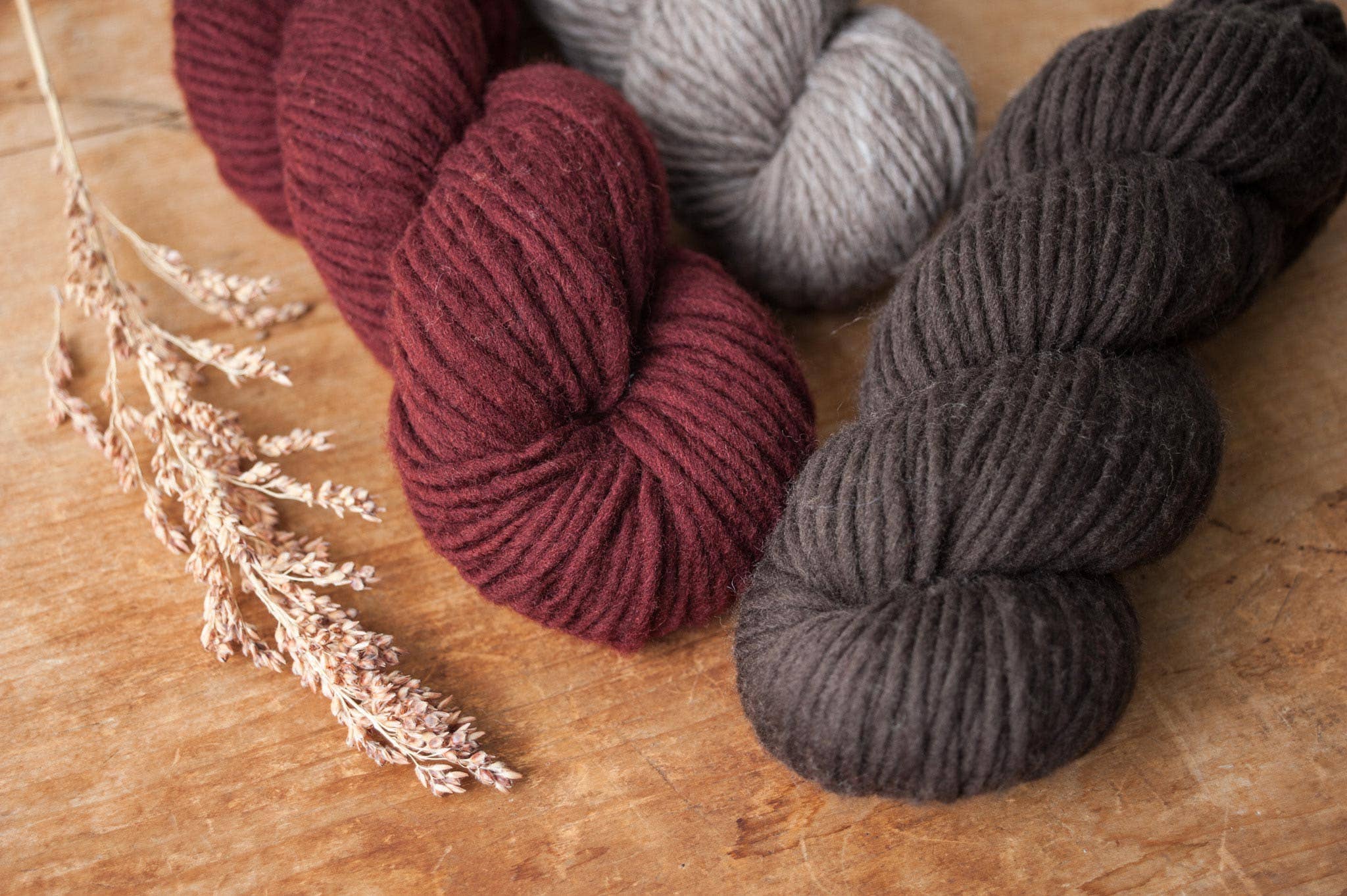 Quince & Co. – Großhandel Garn – Papageitaucher52