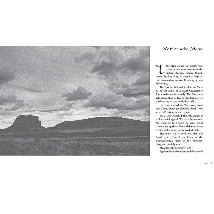 Lee & Low Books Inc - Wholesale Biography & Memoir - Rattlesnake Mesa: Stories from a Native American Childhood3