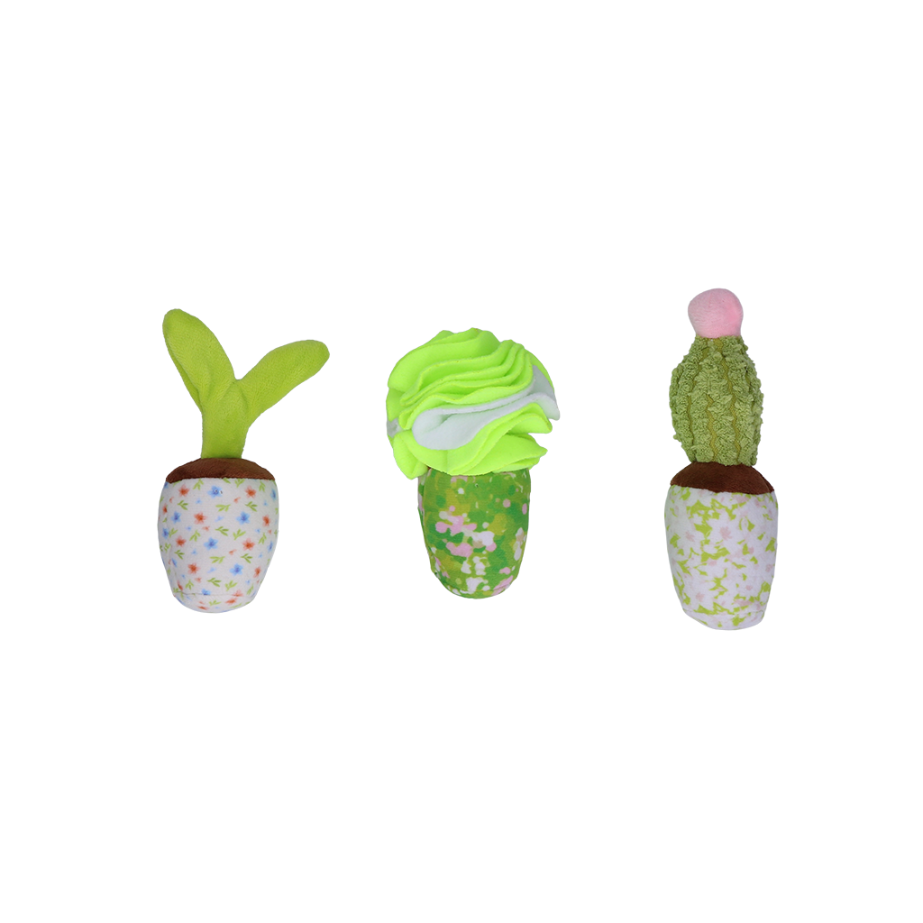 Hofman Animal Care - Wholesale Pet Toy - Dog - Garden Paws Snuffle Box Sprout, Crop & Cactus1