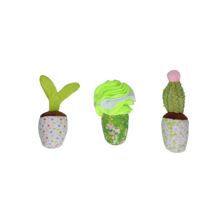 Hofman Animal Care - Wholesale Pet Toy - Dog - Garden Paws Snuffle Box Sprout, Crop & Cactus1
