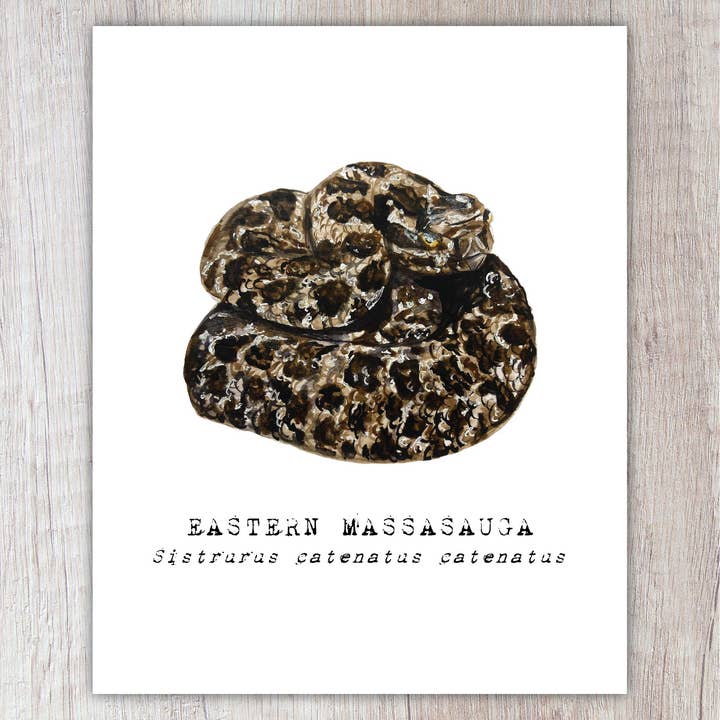 Eastern Massasauga Rattlesnake A2 Card for wholesale by Brush & Bark