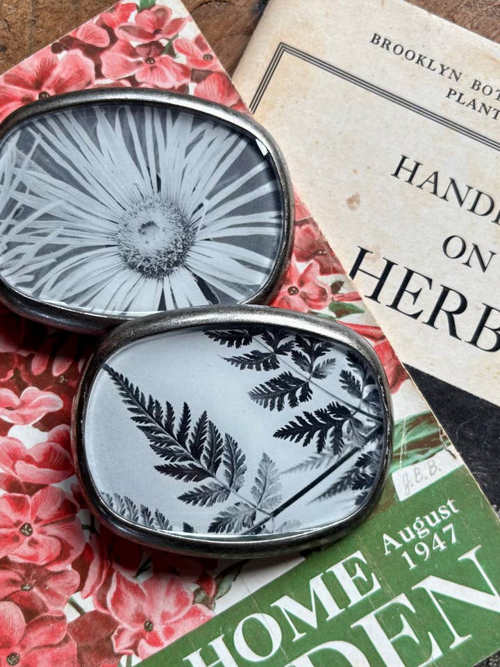 Belt buckle, b&w - vintage botanicals, black and white for wholesale by joeyfivecents