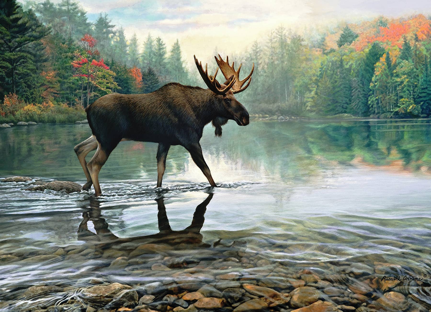 Outset Games and Cobble Hill Puzzles - Wholesale Puzzle - Adult - Moose Crossing 1000pc puzzle1