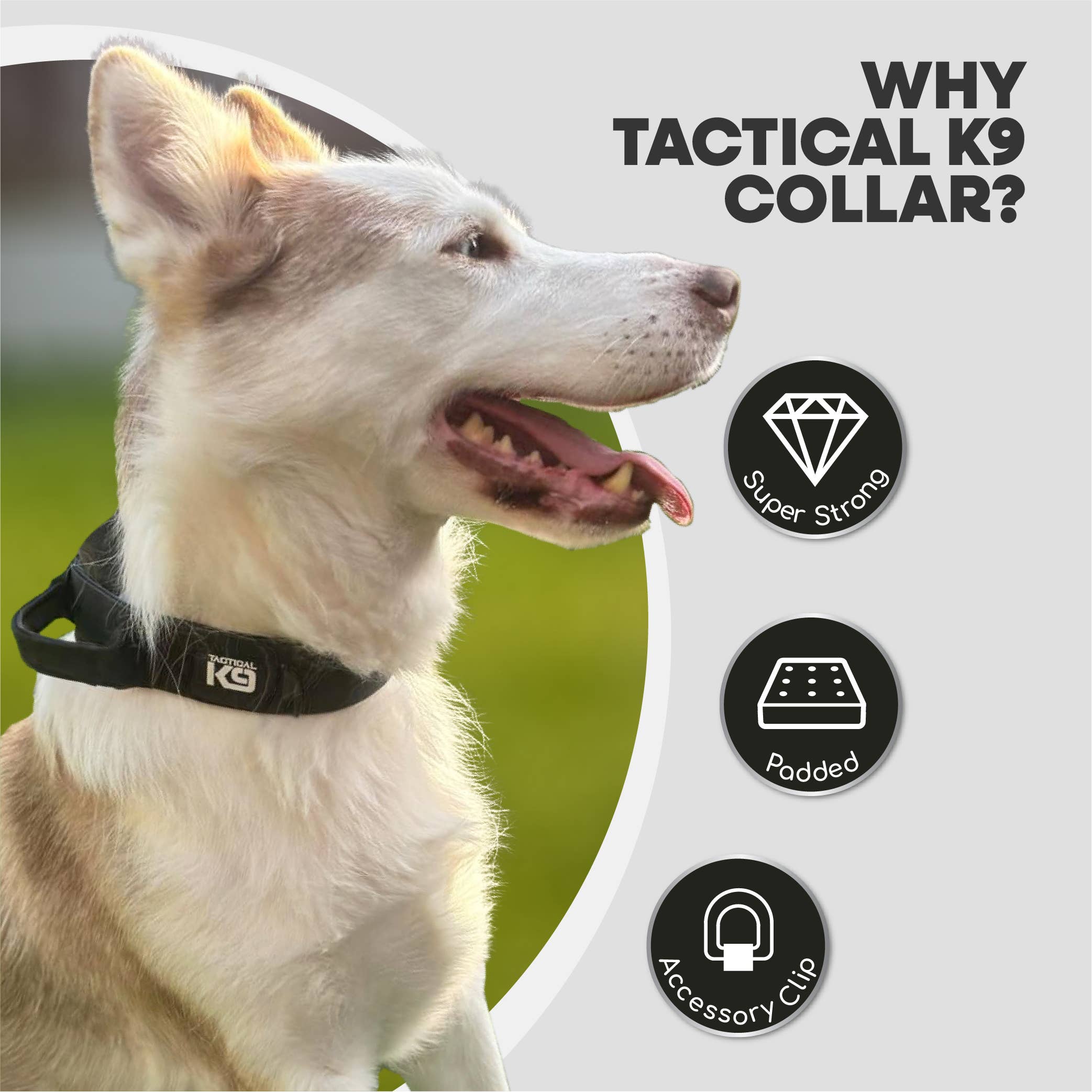 HugglePets – wholesale Pet collar – Dog – HugglePets Tactical K9 Endurance Dog Collar28