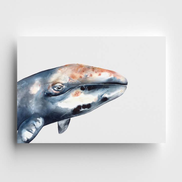 Impression Édition Limitée Petit Gris pour la vente par Kelly Clause Art