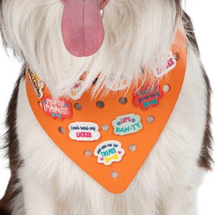 Charmdana - Orange - Bandana en caoutchouc pour chien - Joyeux Halloween pour la vente par Wag Around Town
