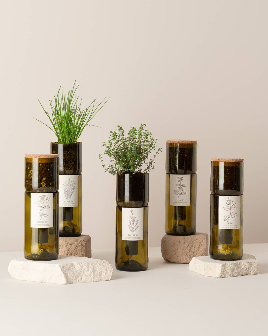 Life in a bag - Wholesale Plant Seeds - Grow Bottle Basil2