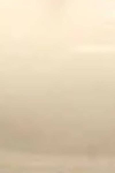 Gretchen Scott LLC - Wholesale Pendant/Charm Necklace - Sabi Sand Beaded Necklace3