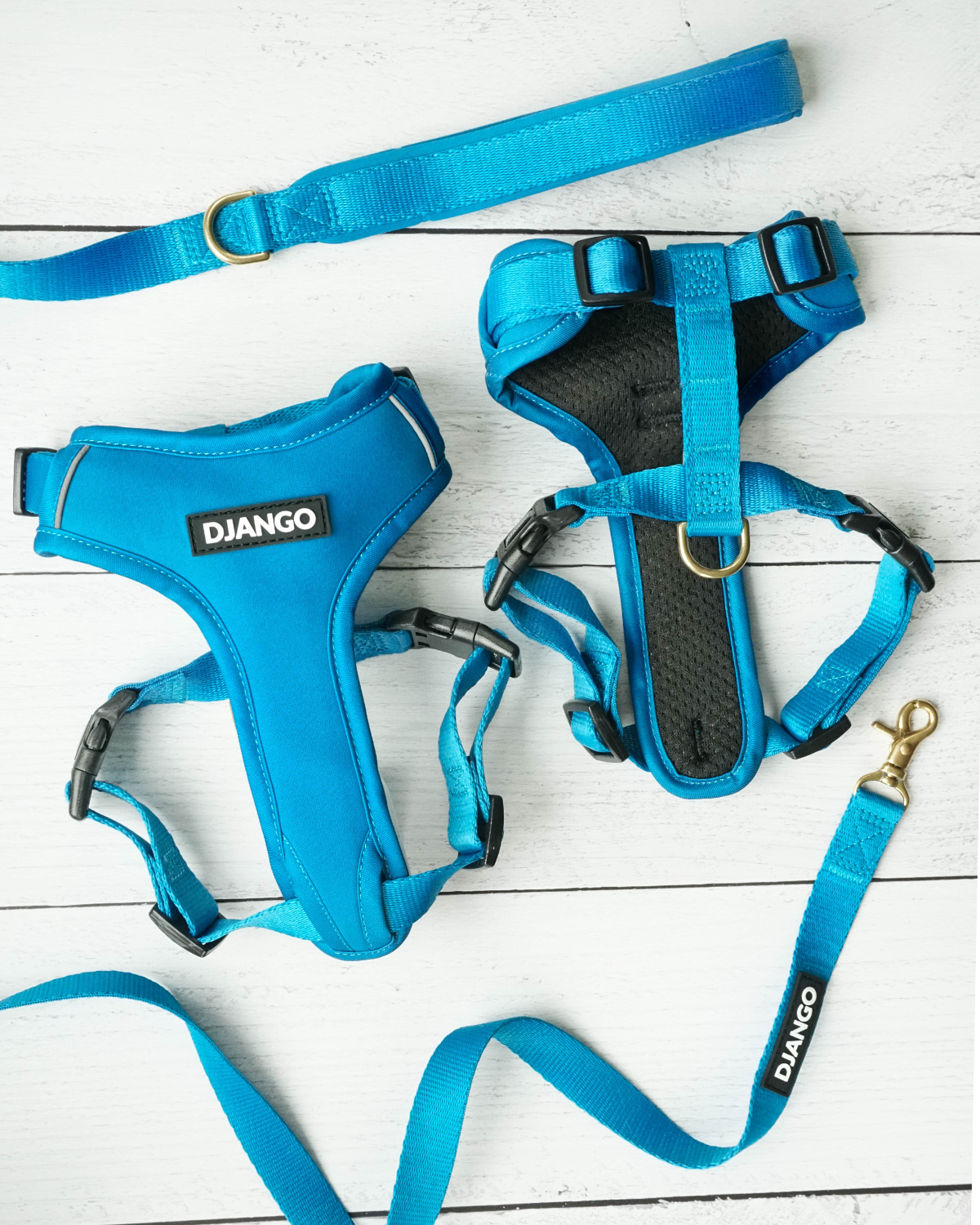 DJANGO - Wholesale Pet Harness - Dog - Adventure Dog Harness - Pacific Blue7