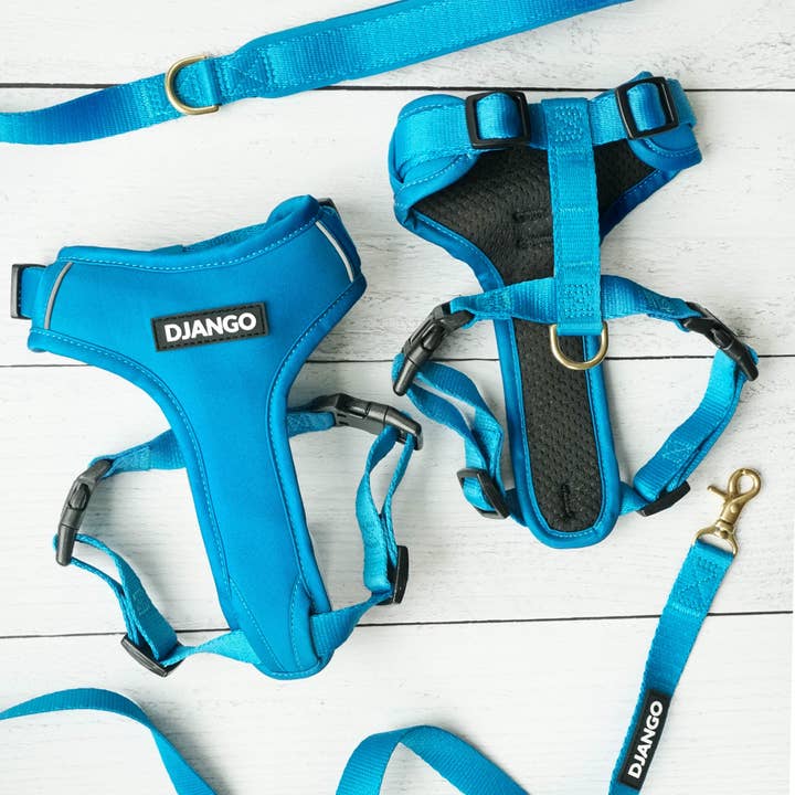 DJANGO - Wholesale Pet Harness - Dog - Adventure Dog Harness - Pacific Blue7