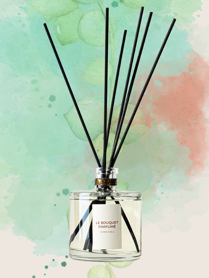 Bouquet profumato Solanum per la vendita all'ingrosso da parte di Odore Scola