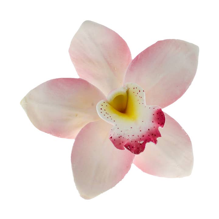 Fleurs de Gâteau en Sucre Orchidée, Orchidées Cymbidium, par Global Sugar Art, Rose, Lot de 3 pour la vente par Global Sugar Art