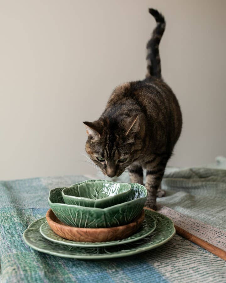 VAN VERRE - Vente Bol - BOL À CHOU Ø17,5CM1