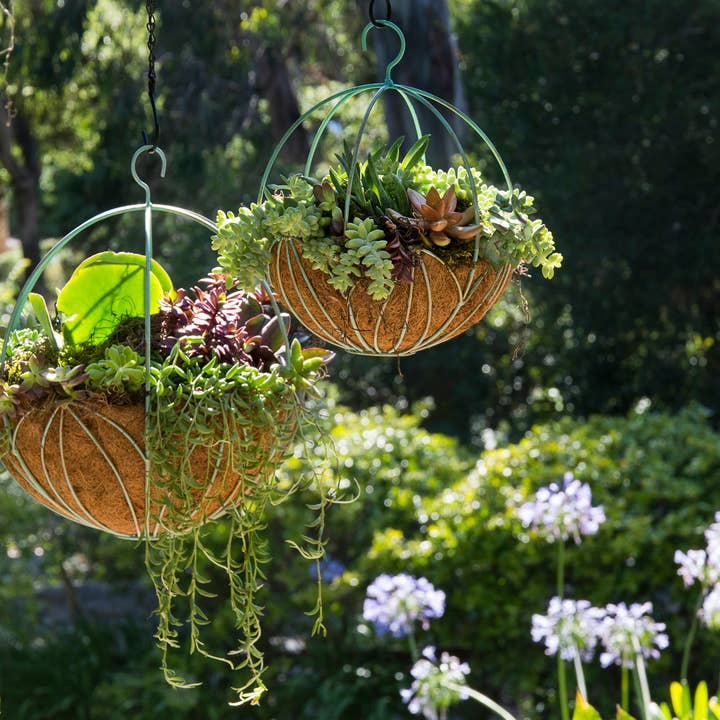 SuperMoss - Wholesale Hanging planter - Leeds Sphere Metal Hanging Basket1