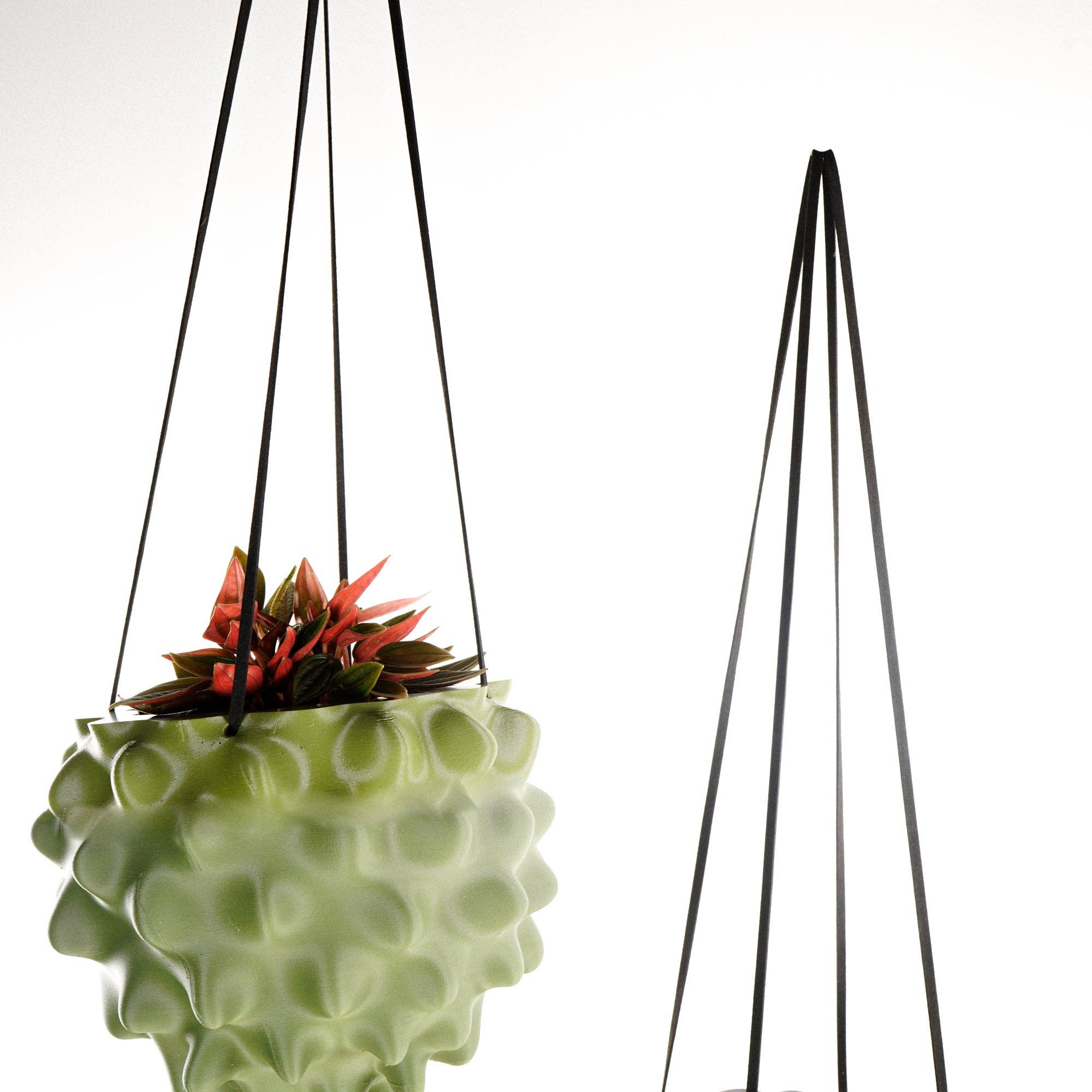 Rosebud Homegoods - Wholesale Hanging Planter - Hanging Planter, Indoor 5 or 8 inch Pots, Maximalist Decor16